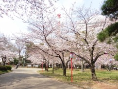 豊橋公園 040