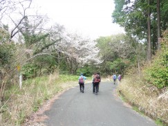 2016-4-3風切山 156