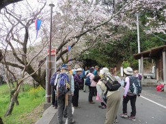 2016-4-3風切山 242