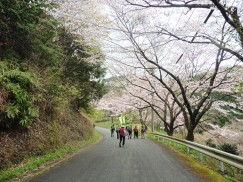 2016-4-3風切山 038