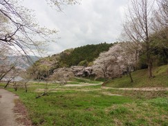 2016-4-3風切山 169