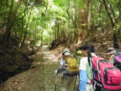 2016-5-15奈良・春日山 085