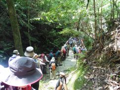 2016-5-15奈良・春日山 142