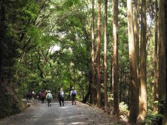 2016-5-15奈良・春日山 107