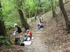 2016-5-15奈良・春日山 069