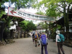 2016-5-15奈良・春日山 233