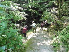 2016-5-15奈良・春日山 141