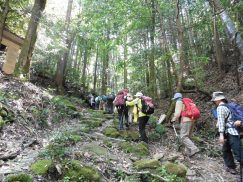 2016-5-15奈良・春日山 148