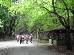 2016-5-15奈良・春日山 184