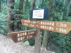 2016-5-15奈良・春日山 100