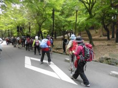 2016-5-15奈良・春日山 224