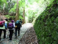 2016-5-15奈良・春日山 087