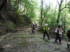 2016-5-15奈良・春日山 154