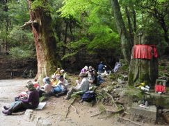 2016-5-15奈良・春日山 072