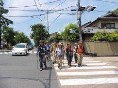 2016-5-15奈良・春日山 004