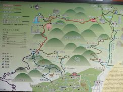 2016-5-15奈良・春日山 101