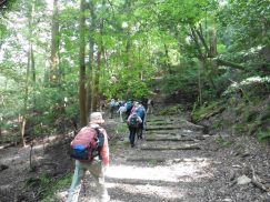 2016-5-15奈良・春日山 151