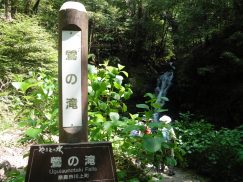 2016-5-15奈良・春日山 138