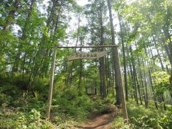 守屋山 登山道