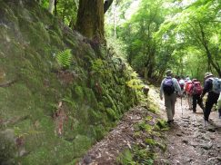 2016-5-15奈良・春日山 025