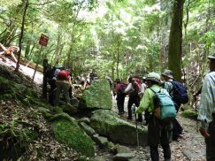 2016-5-15奈良・春日山 034