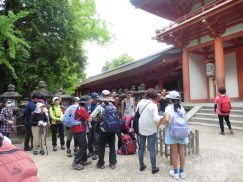 2016-5-15奈良・春日山 246