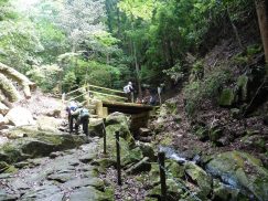 2016-5-15奈良・春日山 047