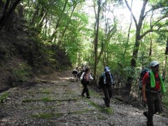 2016-5-15奈良・春日山 153