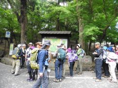 2016-5-15奈良・春日山 225