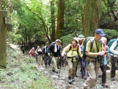 2016-5-15奈良・春日山 089