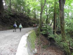 2016-5-15奈良・春日山 181