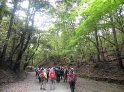 2016-5-15奈良・春日山 186