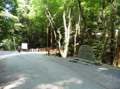 2016-5-15奈良・春日山 121