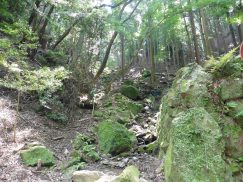 2016-5-15奈良・春日山 163