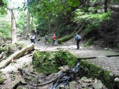 2016-5-15奈良・春日山 062