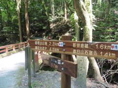 2016-5-15奈良・春日山 123