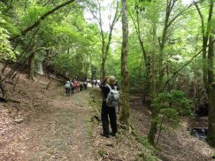 2016-5-15奈良・春日山 027