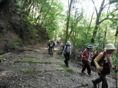 2016-5-15奈良・春日山 152