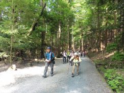 2016-5-15奈良・春日山 174