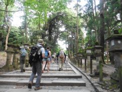 2016-5-15奈良・春日山 229