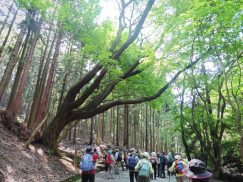 2016-5-15奈良・春日山 165