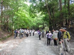 2016-5-15奈良・春日山 189