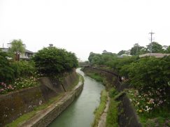 2016-6-19蓬莱橋・掛川城 234