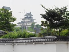 2016-6-19蓬莱橋・掛川城 250