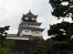 2016-6-19蓬莱橋・掛川城 214