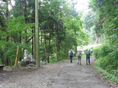 2016-6-19蓬莱橋・掛川城 076