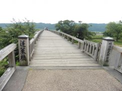 2016-6-19蓬莱橋・掛川城 164