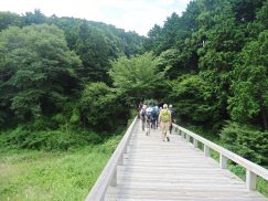 2016-6-19蓬莱橋・掛川城 032