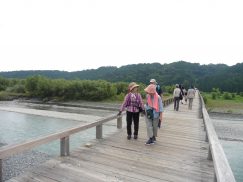 2016-6-19蓬莱橋・掛川城 149