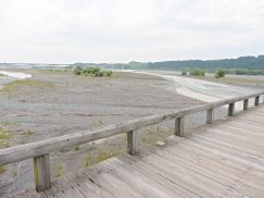 2016-6-19蓬莱橋・掛川城 024